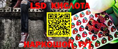 прущие грибы Краснознаменск
